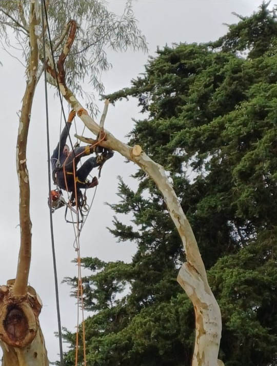 Trabajo Acceso Vertical 8