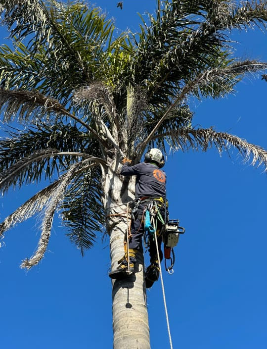 Trabajo Acceso Vertical 8