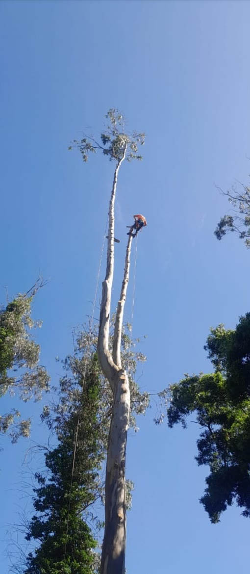 Trabajo Acceso Vertical 8