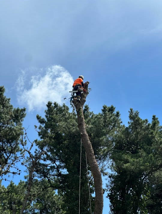 Trabajo Acceso Vertical 8