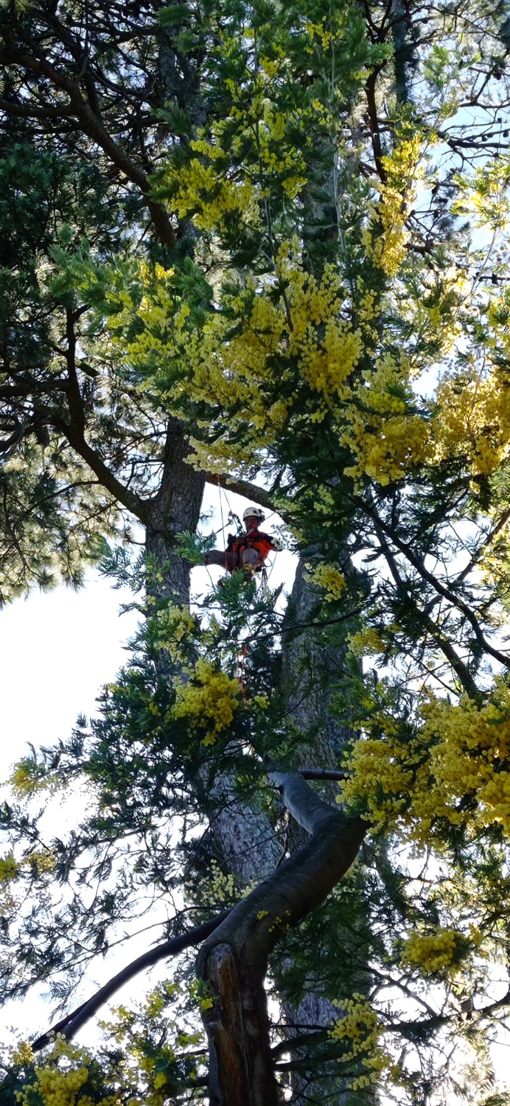 Trabajo Acceso Vertical 6